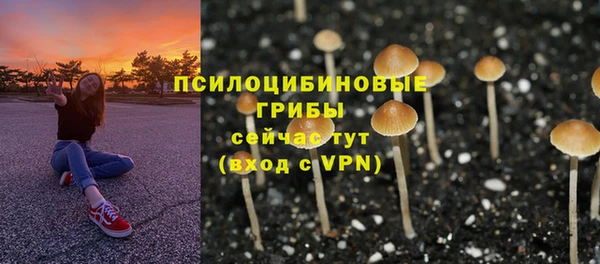 дмт Медвежьегорск